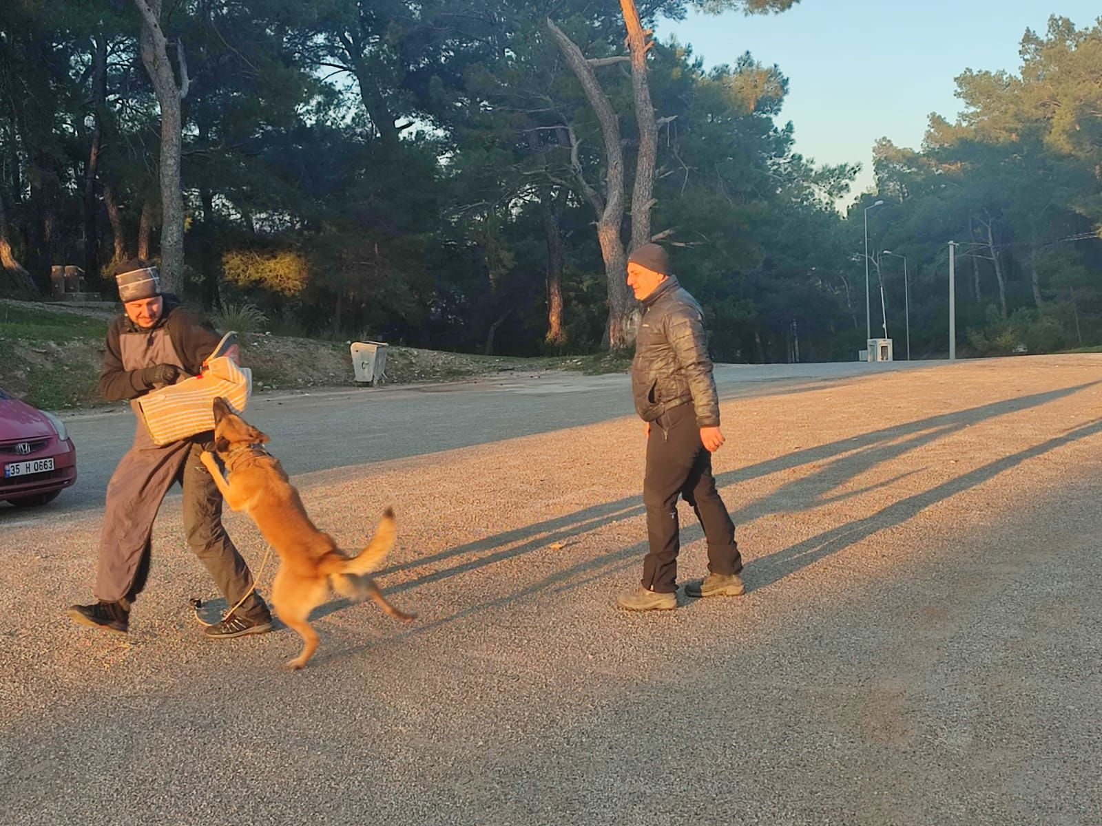 Koruma Eğitimi